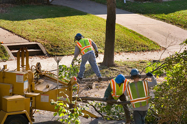 Lawn Watering Services in Bull Run, VA